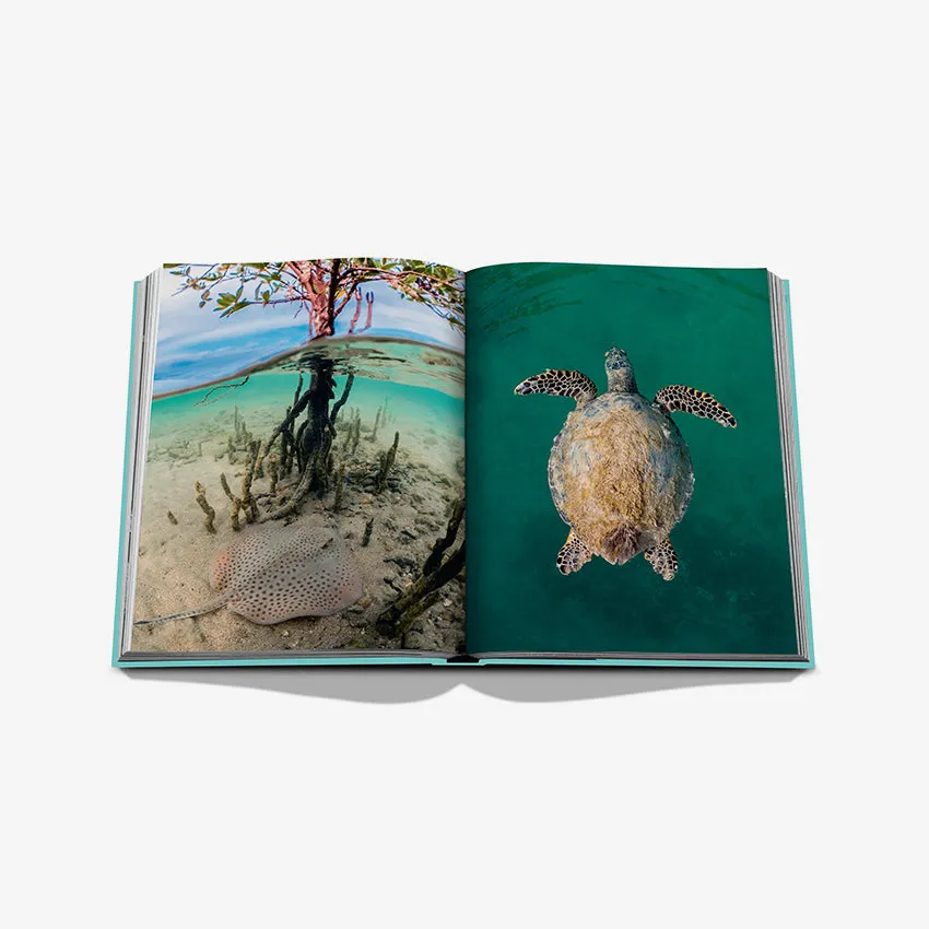 Assouline | Red Sea: The Saudi Coast