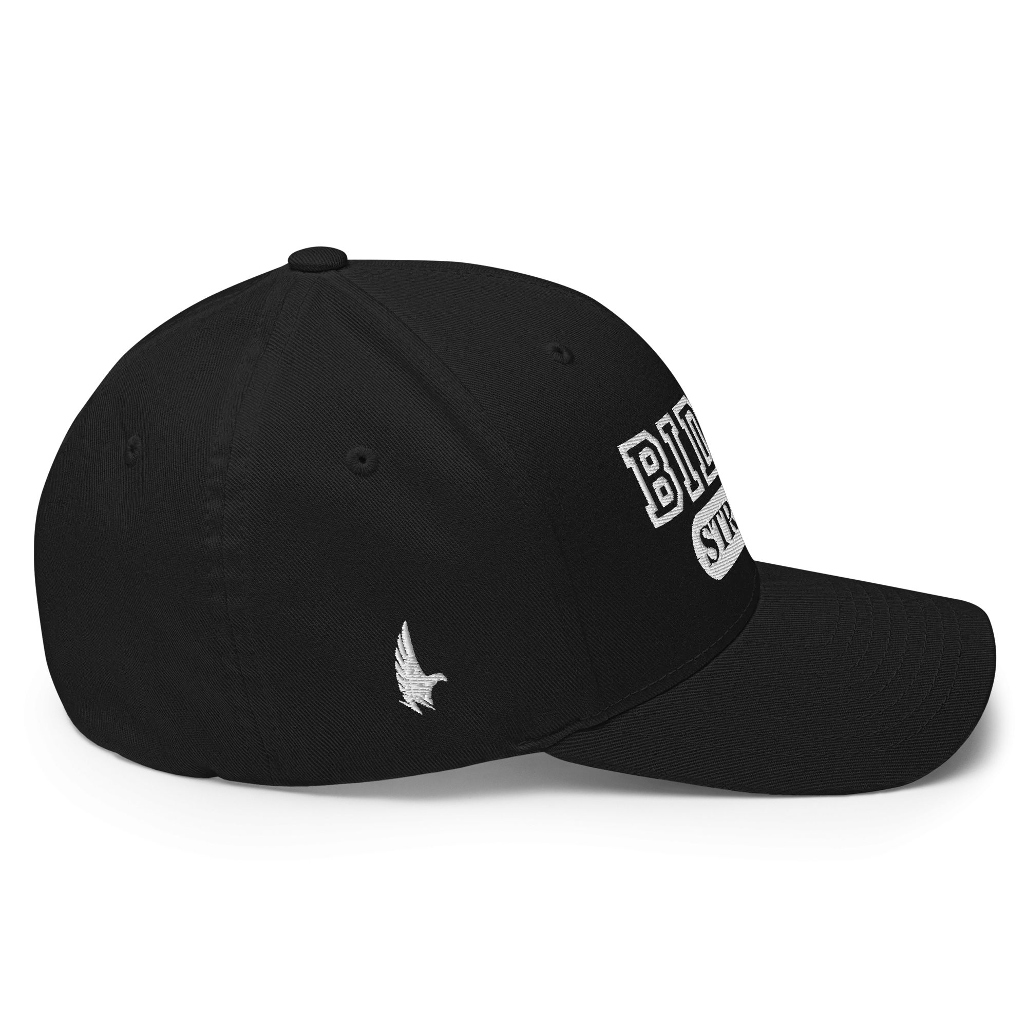 Biden Strong Fitted Hat